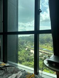 Normanton Park (D5), Apartment #524668761